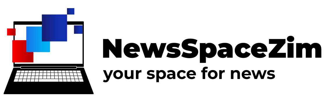 NewsSpace Logo no bg